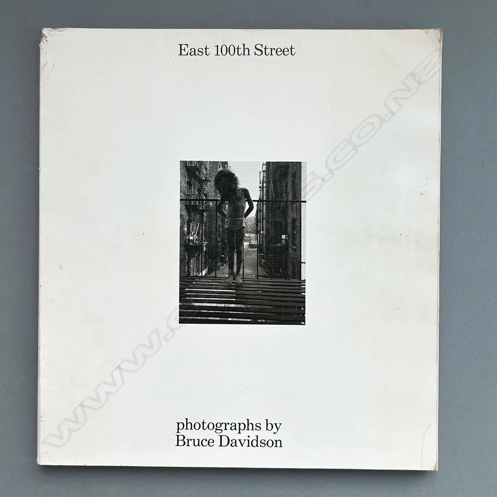 BRUCE DAVIDSON: EAST 100TH STREET Image 1++